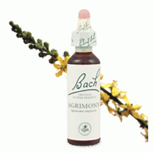 Bachove esencie Agrimony repík lekársky 20ml