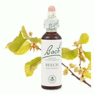 Bachove esencie Beech Buk lesný 20ml