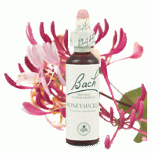 Bachove esencie Honeysuckle Zimolez kozí list 20ml