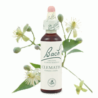 Bachove esencie Clematis biela lesná réva 20ml