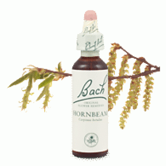 Bachove esencie Hornbeam hrab obecný 20ml