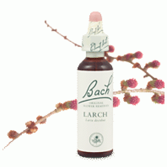 Bachove esencie Larch smrekovec opadavý 20ml