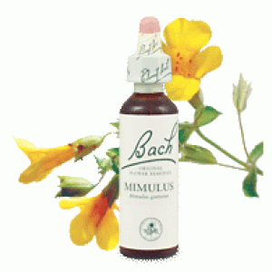 Bachove esencie Mimulus Čarodejka škvrnitá 20ml