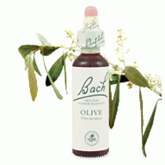 Bachove esencie Olive Oliva 20ml