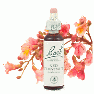 Bachove esencie Redchestnut gaštan červený 20ml