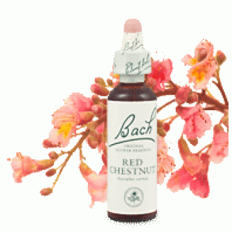 Bachove esencie Redchestnut gaštan červený 20ml