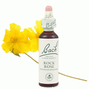 Bachove esencie Rockrose devätorník peniažtekový 20ml