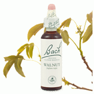 Bachove esencie Walnut vlašský orech 20ml