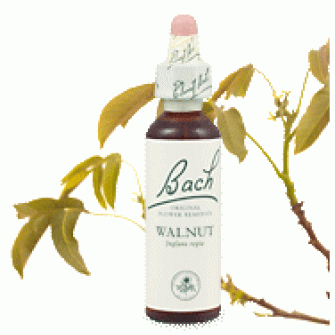 Bachove esencie Walnut vlašský orech 20ml