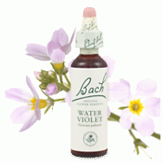 Bachove esencie Water violet berutník bahenný 20ml