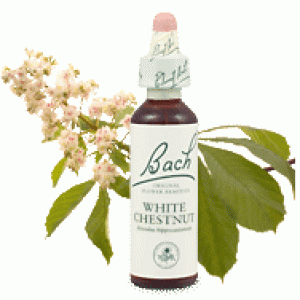 Bachove esencie Whitechestnut gaštan biely 20ml