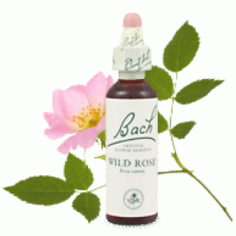 Bachove esencie Wild rose šípová ruža 20ml